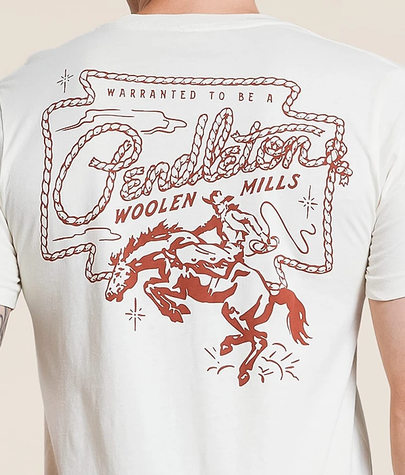 Vintage Western T-Shirt