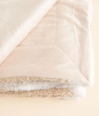 Teddy Plush Blanket
