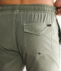 Pigment Stretch Swim Trunks