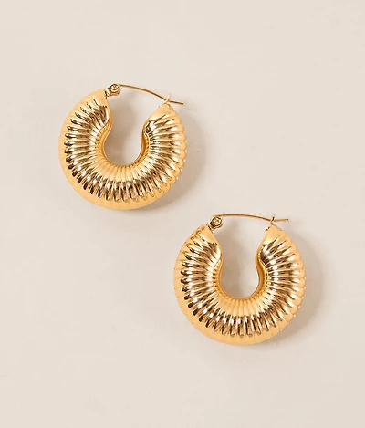 Robyn Hoop Earring