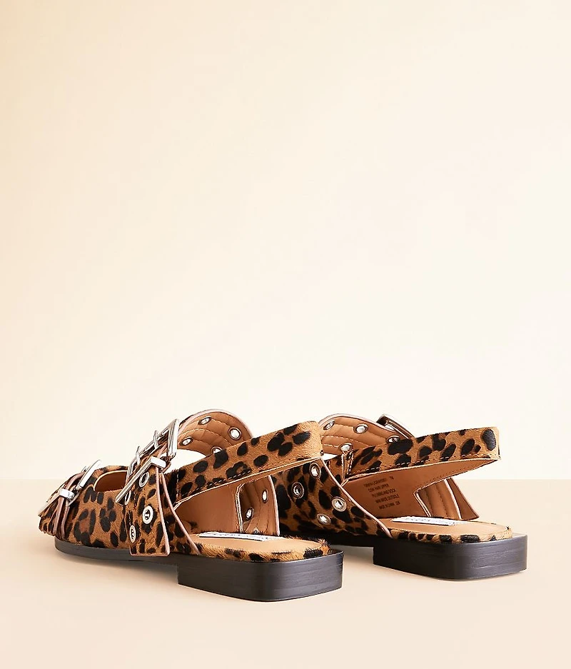 Graya Slingback Shoe