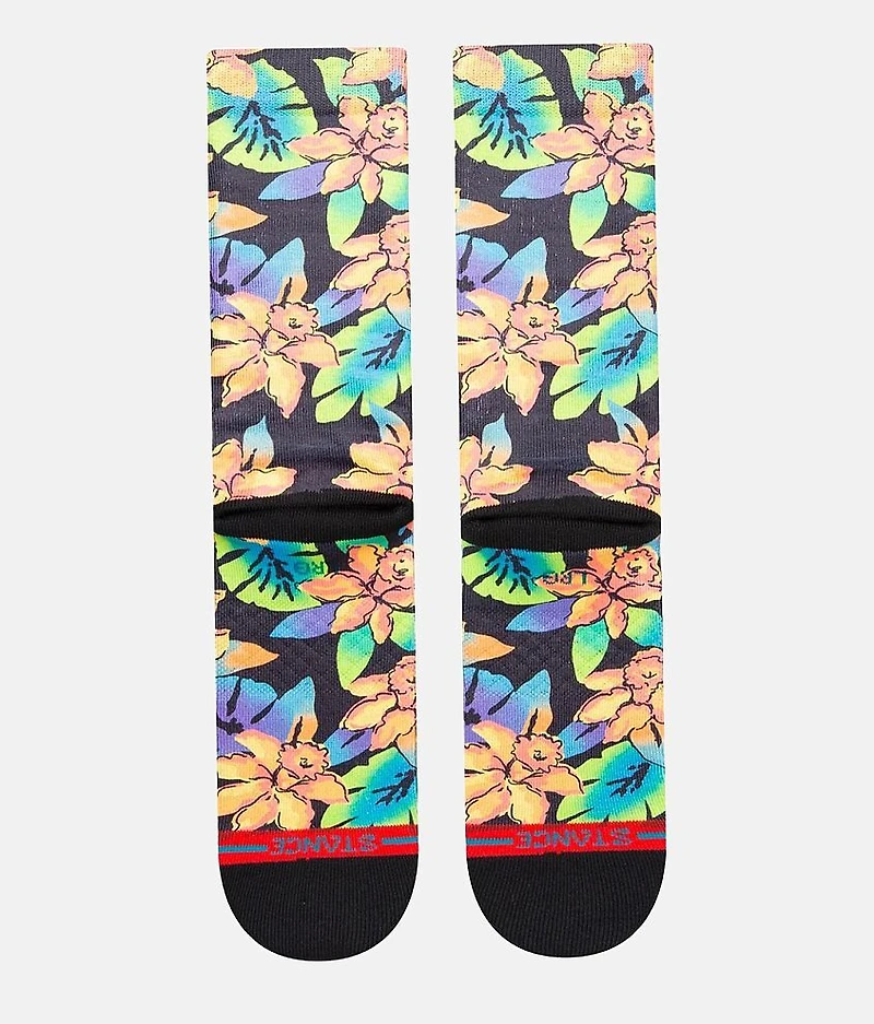 Bomin Socks