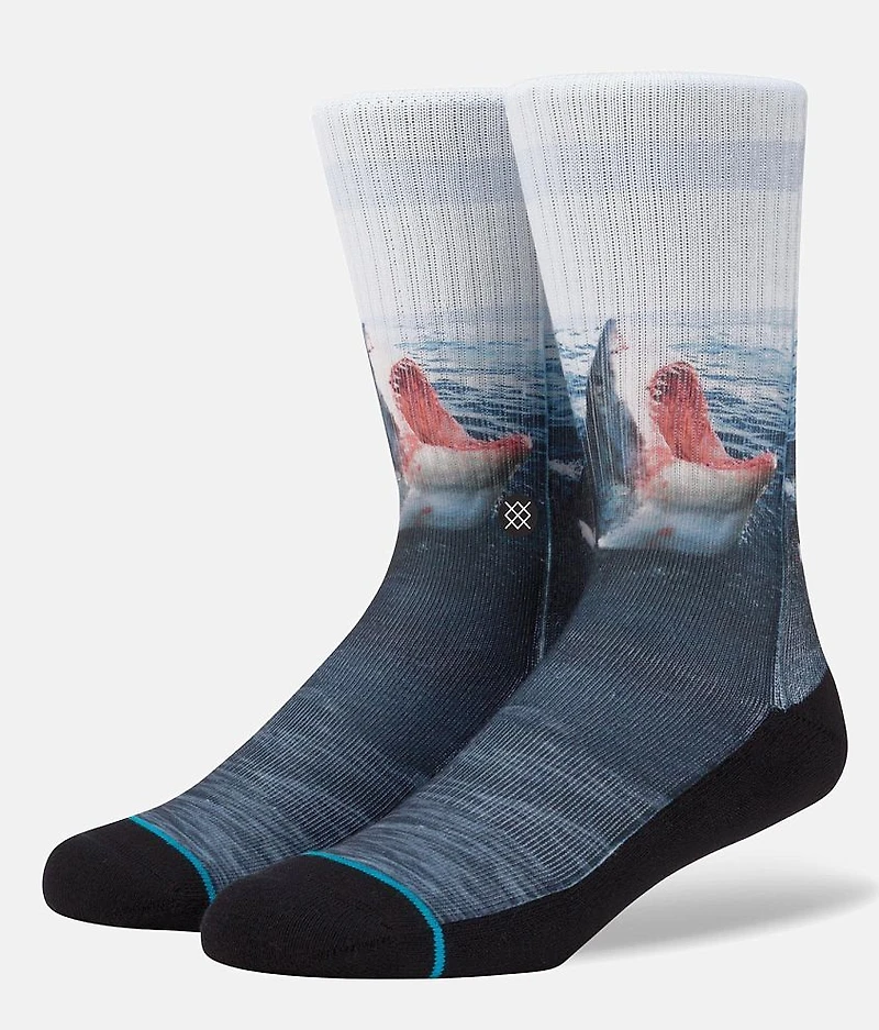 Landlord Socks