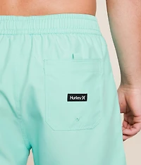 Icon Balboa Volley Swim Trunks