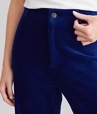 Prospect Knit Corduroy Pant