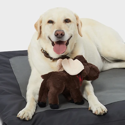 Tall Tails Animated Moose