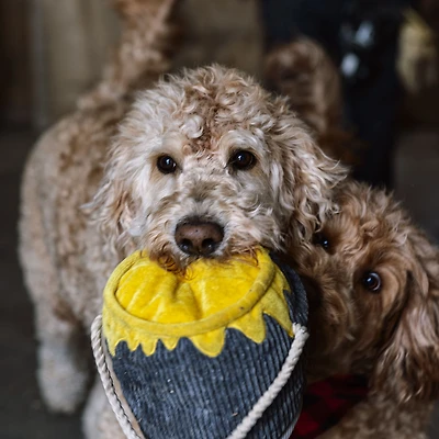 Huggle Hounds Plush Dog Toy Collection