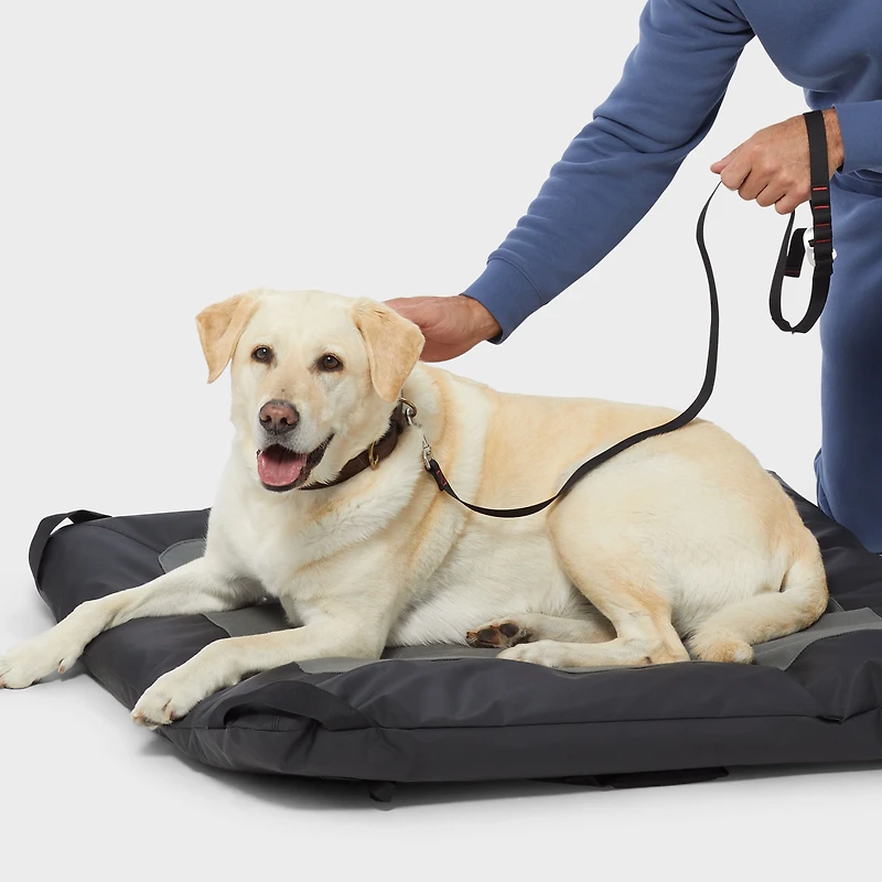 Fire Hose Travel Dog Bed