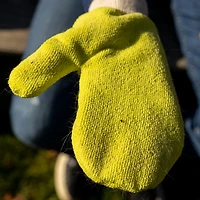 Tick Mitt