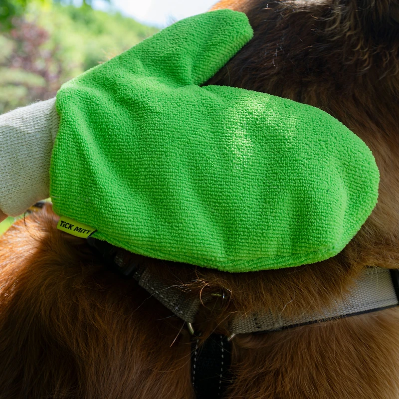 Tick Mitt
