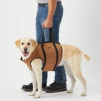 Dog Lift Harness