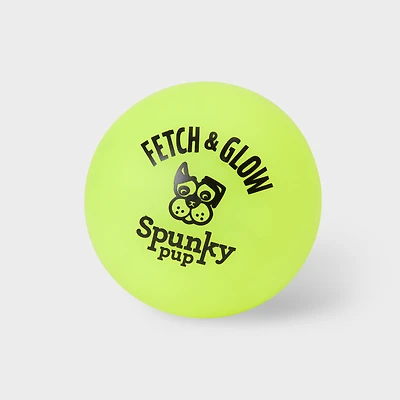Spunky Pup Fetch and Glow Ball