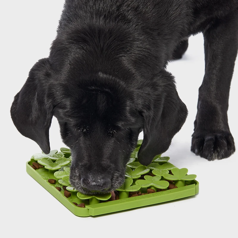 Dog Feeding and Foraging Mat