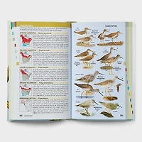 Kaufman Field Guide to Birds of North America