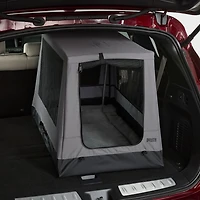 Folding Dog Crate