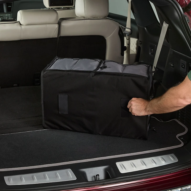 Collapsible Organizer