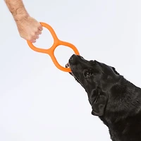 GOAT Rubber Tug Dog Toy