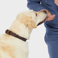Buffalo Hide Dog Collar