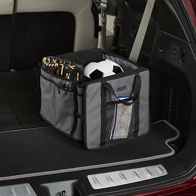 Collapsible Organizer