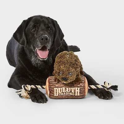 Angry Beaver on a Log 2-in-1 Dog Toy