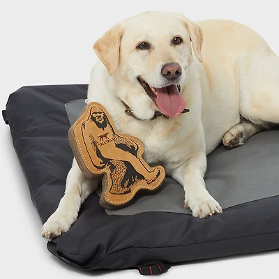 Tall Tails Big Foot Leather Dog Toy