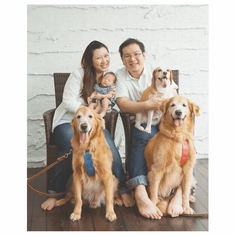 Large Format Puzzles with Printed Box