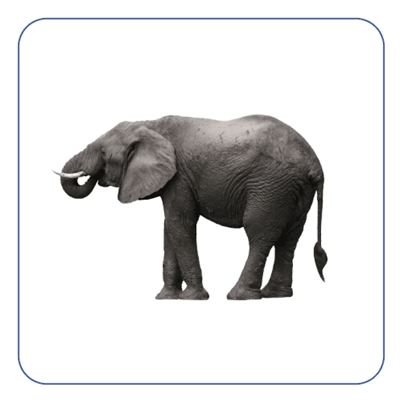 Rounded Corner Stickers