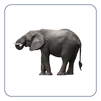 Rounded Corner Stickers