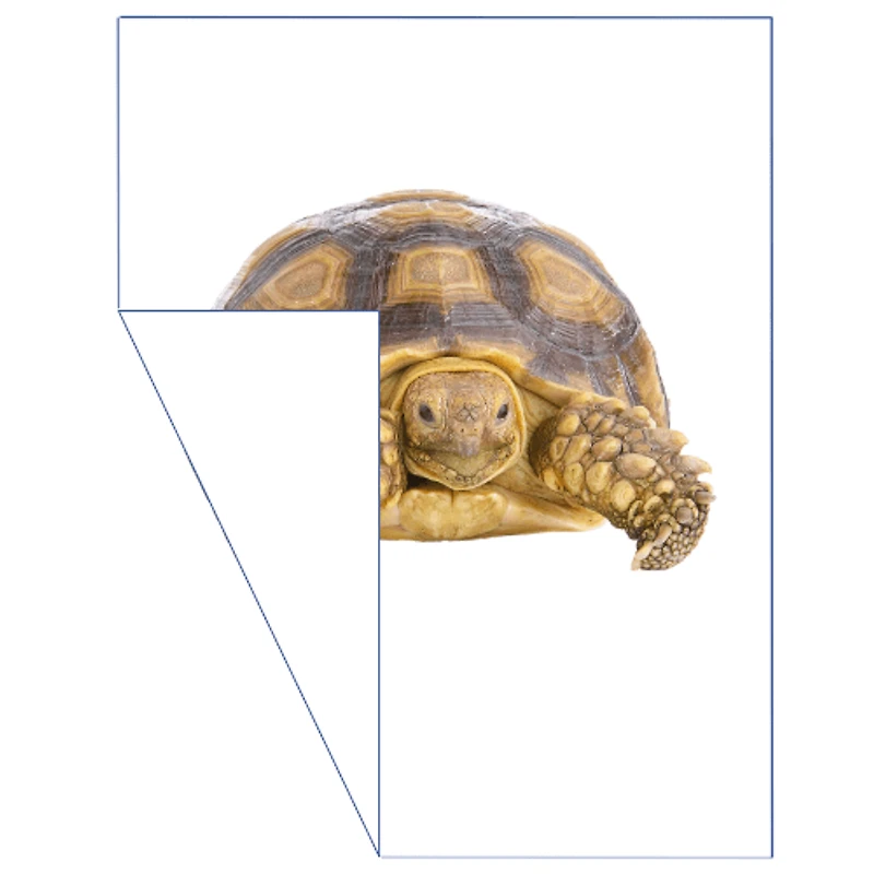 Static Cling Stickers