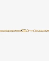 55cm (22") Oval Belcher Chain 10kt Yellow Gold