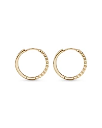 Huggie Earrings in 10kt Yellow Gold