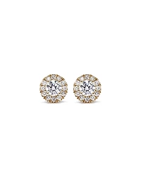 0.50 Carat TW Round Brilliant Laboratory-Grown Diamond Halo Stud Earrings in 10kt Yellow Gold