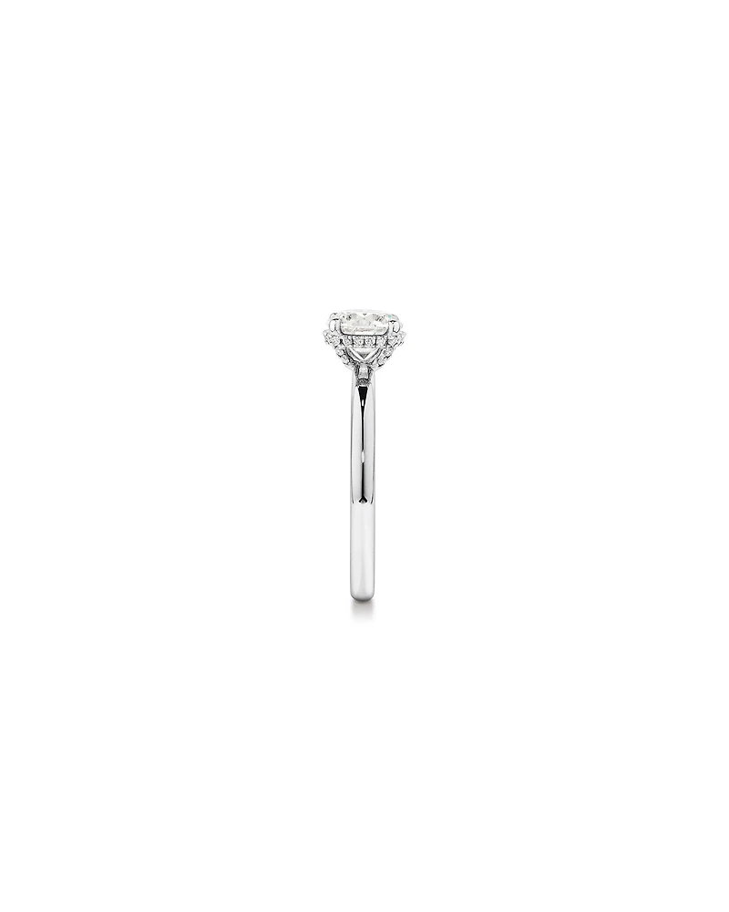 1.05 Carat TW Round Brilliant Diamond Solitaire Pave Hidden Halo Engagement Ring in Platinum