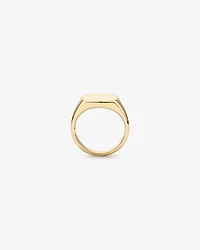 Men's Signet Ring in 10kt Yellow Gold