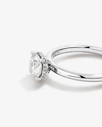 1.05 Carat TW Round Brilliant Diamond Solitaire Pave Hidden Halo Engagement Ring in Platinum