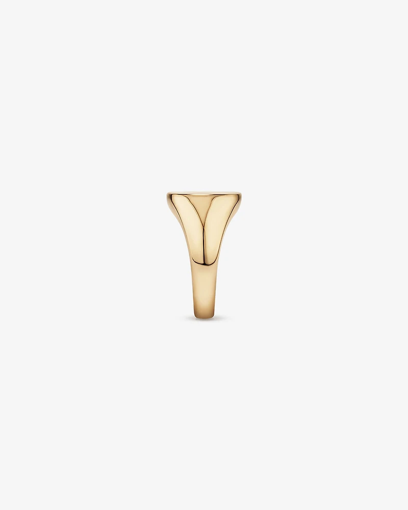 Men's Signet Ring in 10kt Yellow Gold