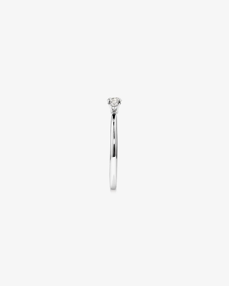 0.30 Carat TW Round Brilliant Diamond Three-Stone Engagement Ring in 14kt White Gold