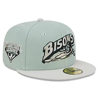 Buffalo Bisons Green Hometown Roots International League Patch Gray UV 59FIFTY Fitted Hat