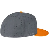 Tennessee Volunteers Gray Orange Nike Baseball True Performance Fitted Hat