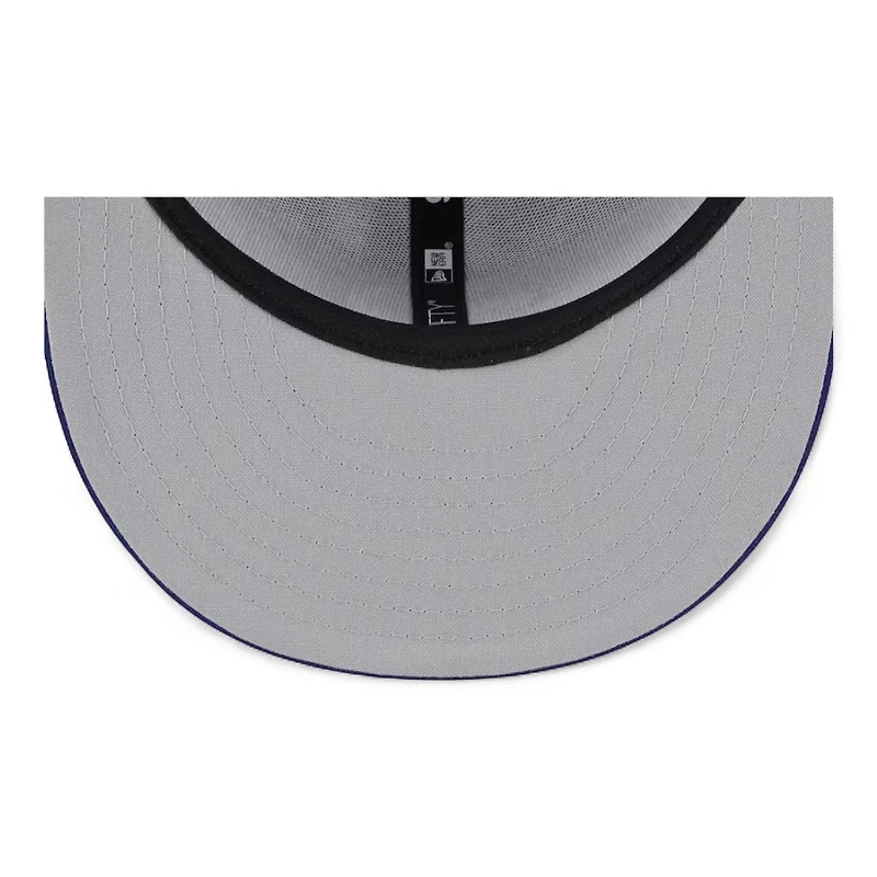 Los Angeles Dodgers Gray Blue 2024 Batting Practice New Era 9FIFTY Snapback Hat