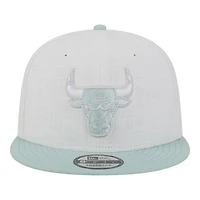 Chicago Bulls Mint Breeze Gray UV New Era 9FIFTY Snapback Hat