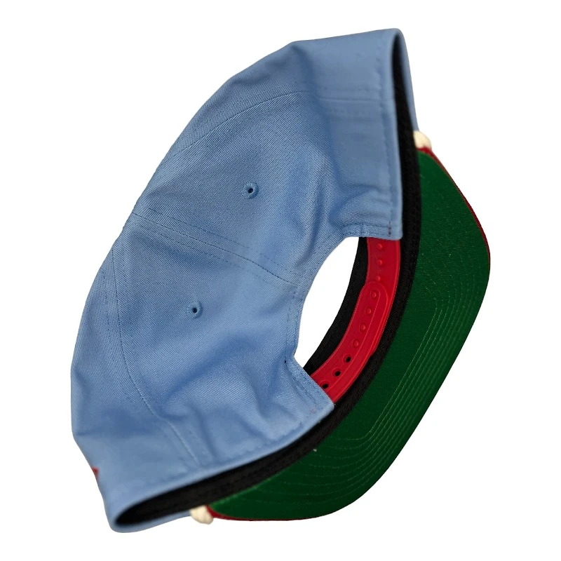 St. Louis Cardinals Icy Blue Red Two Tone Old School Logo Golfer Hat New Era Snapback