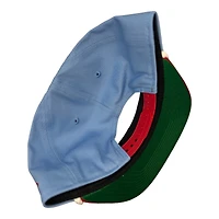 St. Louis Cardinals Icy Blue Red Two Tone Old School Logo Golfer Hat New Era Snapback