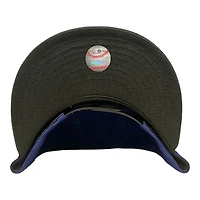 Kids Los Angeles Dodgers Royal Blue New Era 9FIFTY Snapback Hat