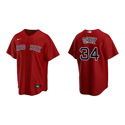 Youth Boston Red Sox David Ortiz Nike Alternate Jersey