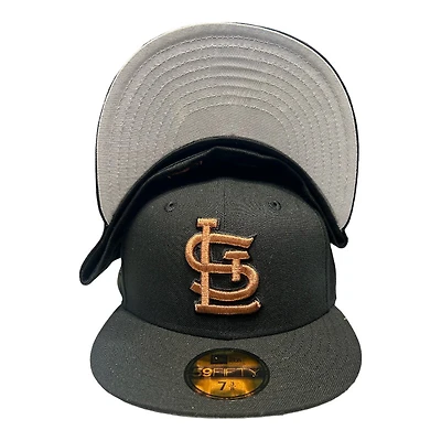 St. Louis Cardinals Black Busch Stadium Final Season Patch Gray UV New Era 59FIFTY Fitted Hat