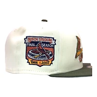 St Louis Cardinals Cream and Olive "FHM DPM Stock Pack" Final Season at Busch Stadium Patch Gray UV New Era 59Fifty Fitted Hat