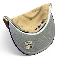 Washington Huskies Camel Brown White Basic Gray UV New Era 59FIFTY Fitted Hat