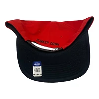 Georgia Bulldogs Red Nike NCAA Pro Snapback Hat