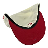 St. Louis Cardinals Chrome and Red Arch Patch UV New Era 59FIFTY Fitted Hat